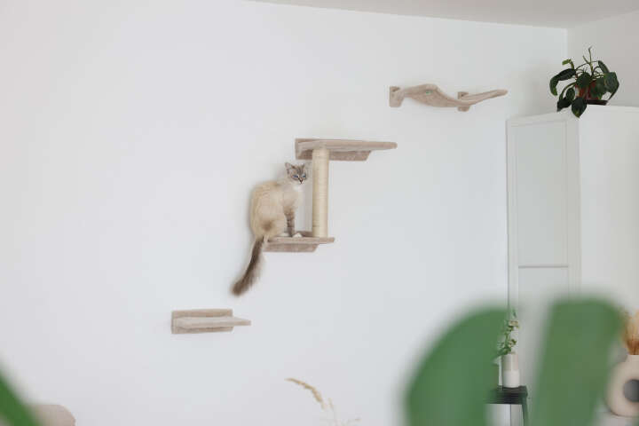 KERBL Kletterwand Zugspitze